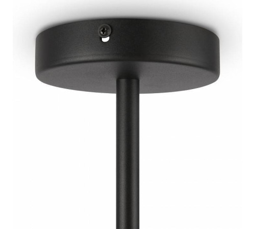 Люстра на штанге Freya Enzo FR5201PL-10B