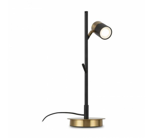 Настольная лампа декоративная Freya Enzo FR5201TL-01B