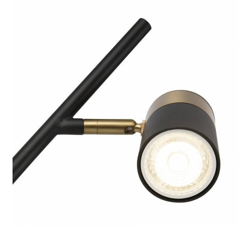 Настольная лампа декоративная Freya Enzo FR5201TL-01B