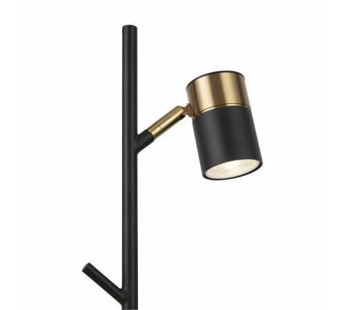 Настольная лампа декоративная Freya Enzo FR5201TL-01B