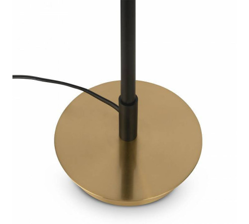 Настольная лампа декоративная Freya Enzo FR5201TL-01B