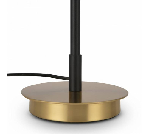 Настольная лампа декоративная Freya Enzo FR5201TL-01B