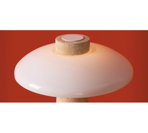 Настольная лампа декоративная Freya Sunspot FR5482TL-L7BG