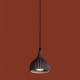 Подвесной светильник Freya Terra FR5582PL-01GF