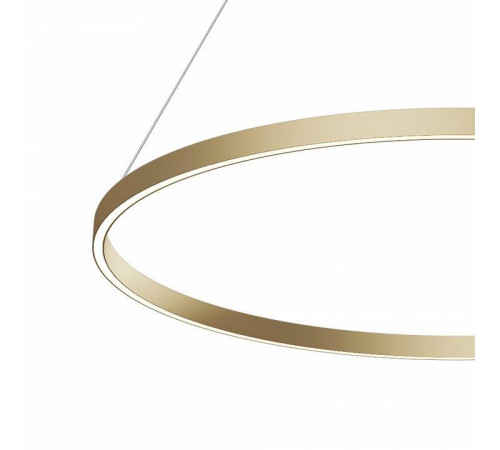 Подвесной светильник Maytoni Rim MOD058PL-L54BSK