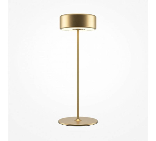 Настольная лампа декоративная Maytoni AI Collaboration MOD229TL-L3G3K2