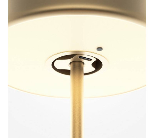 Настольная лампа декоративная Maytoni AI Collaboration MOD229TL-L3G3K2