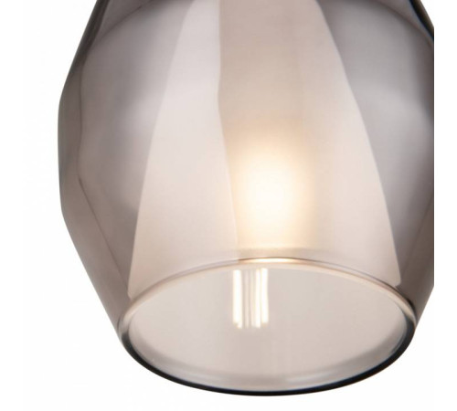 Подвесной светильник Maytoni Duality MOD271PL-01B9