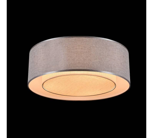 Накладной светильник Maytoni Bergamo MOD613CL-04GR