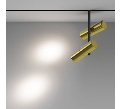 Светильник на штанге Maytoni Elti Duo TR005-2-2X12W4K-BBS
