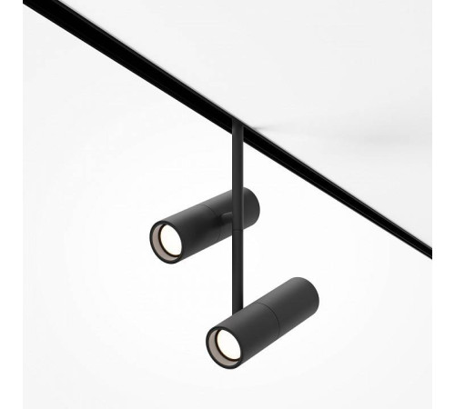 Светильник на штанге Maytoni Elti Duo TR005-4-2X12W-DS-B