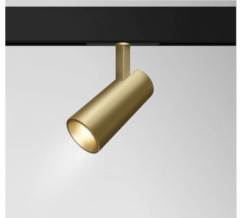 Светильник на штанге Maytoni Technical Track TR019-2-15W3K-MG