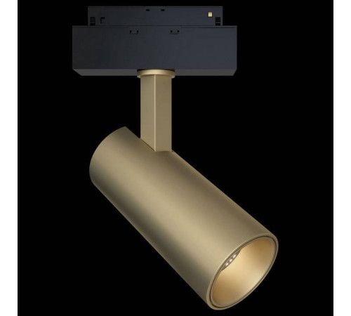Светильник на штанге Maytoni Technical Track TR019-2-15W3K-MG