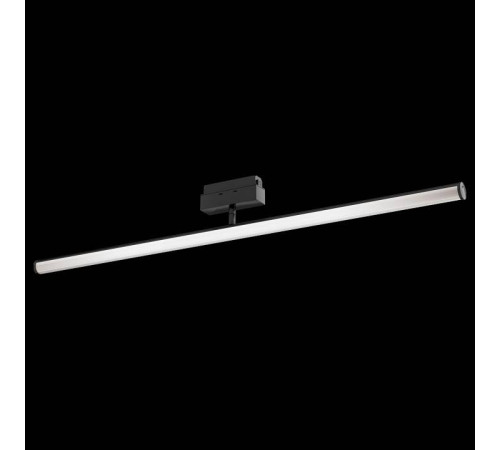 Светильник на штанге Maytoni Track lamps 3 TR026-2-14B4K