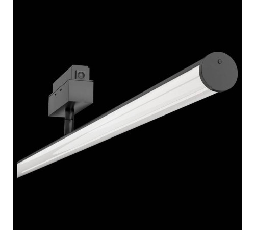 Светильник на штанге Maytoni Track lamps 3 TR026-2-14B4K