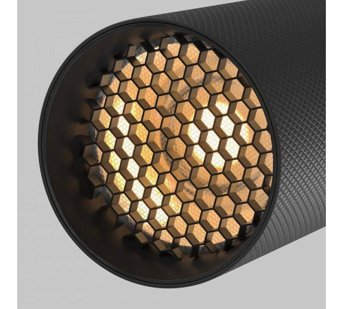 Светильник на штанге Maytoni Artisan TR097-2-12W2.7K-M-BB