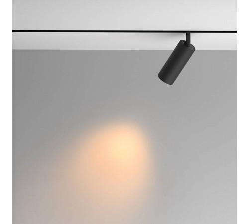 Светильник на штанге Maytoni Artisan TR097-2-12W2.7K-M-BB