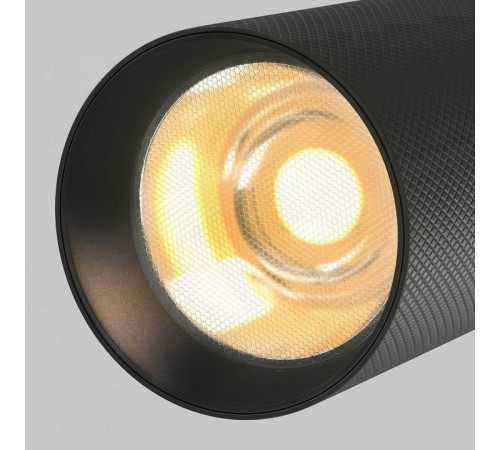 Светильник на штанге Maytoni Artisan TR097-2-12W2.7K-M-BB