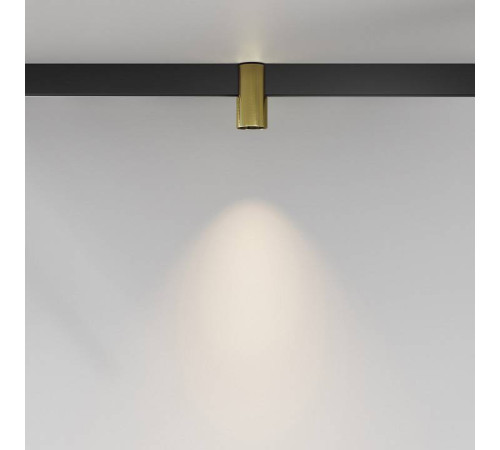 Накладной светильник Maytoni Alfa TR122-2-7W3K-BS