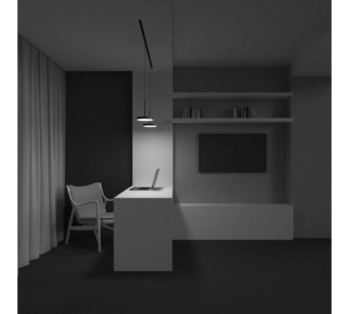 Подвесной светильник Maytoni Plato TR123-2-15W4K-B