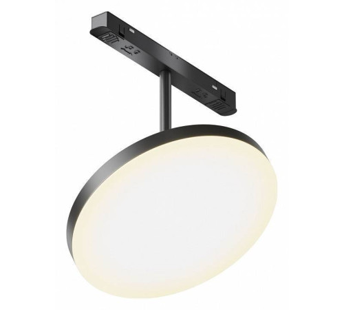 Светильник на штанге Maytoni Plato TR131-2-15W3K-B