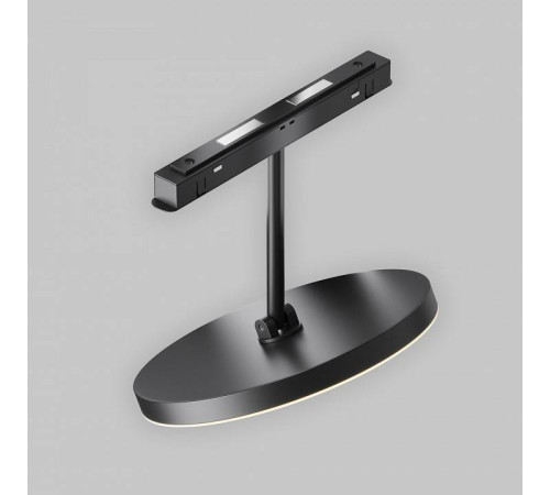 Светильник на штанге Maytoni Plato TR131-2-15W3K-B