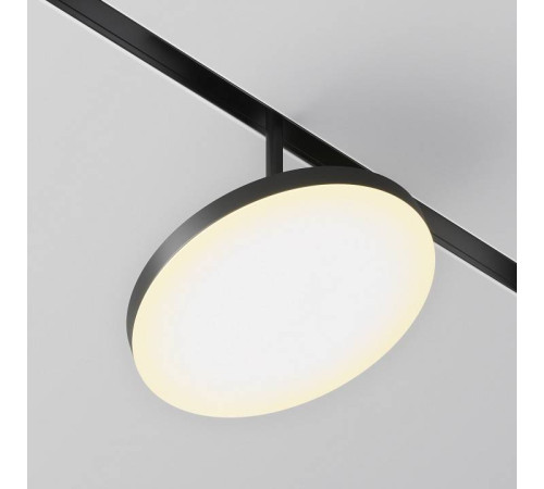 Светильник на штанге Maytoni Plato TR131-2-15W3K-B