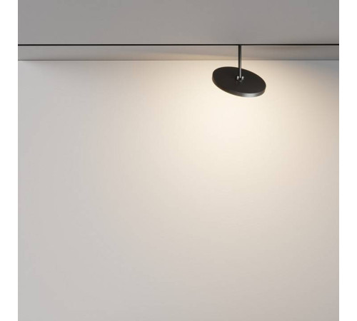 Светильник на штанге Maytoni Plato TR131-2-15W3K-B