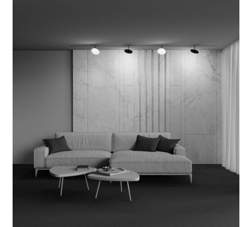 Светильник на штанге Maytoni Plato TR131-2-15W3K-B