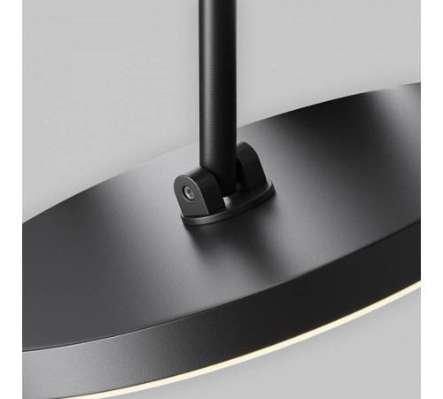 Светильник на штанге Maytoni Plato TR131-2-15W3K-B