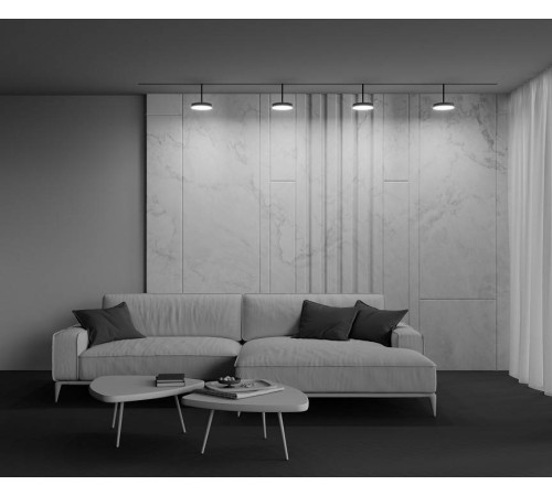 Светильник на штанге Maytoni Plato TR131-4-15W-DS-B