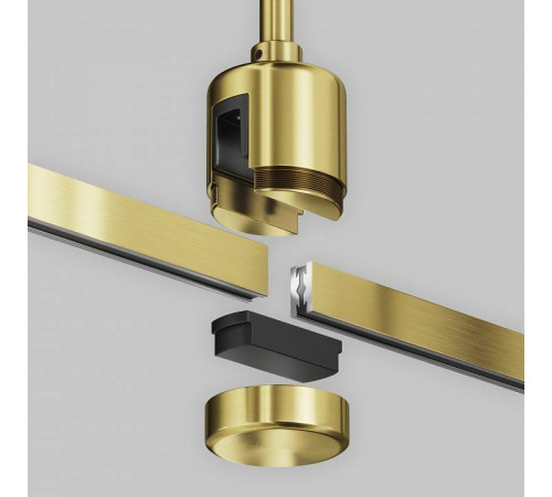 Основание на штанге Maytoni Accessories for tracks Flarity TRA158С-IPCL1-BS