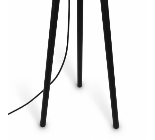 Торшер Maytoni Calvin Z177FL-01B