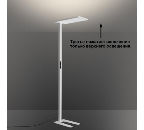 Торшер Novotech STUDI 359545