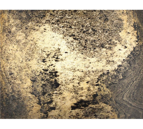 Бра Odeon Light Bergi 5064/1W