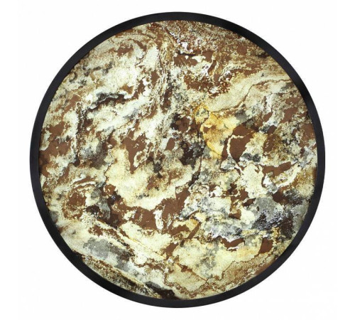 Накладной светильник Odeon Light Bergi 5064/24L