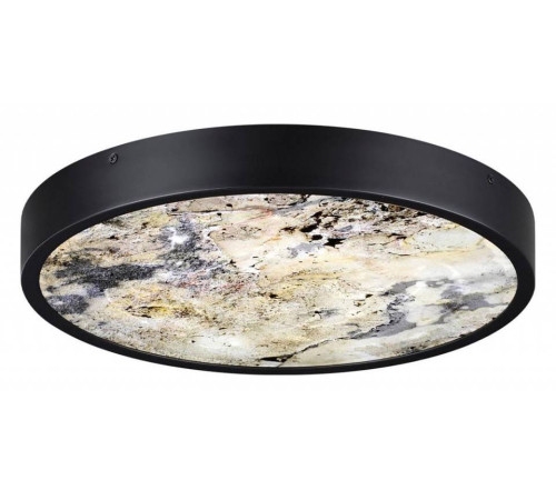 Накладной светильник Odeon Light Bergi 5064/24L