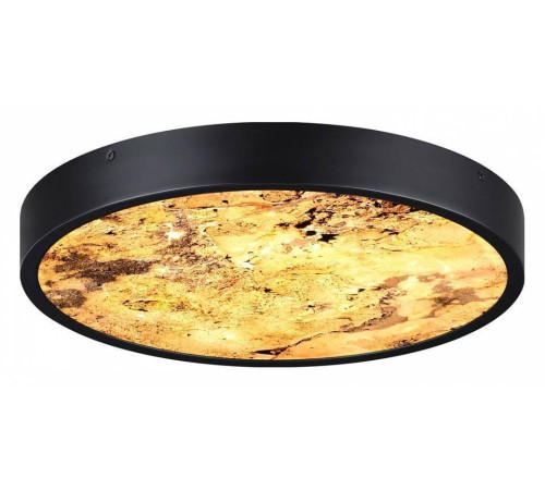 Накладной светильник Odeon Light Bergi 5064/24L