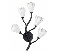 Бра Odeon Light Gardi 5090/5W