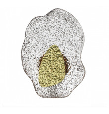 Накладной светильник Odeon Light L-VISION 5460/12WLA