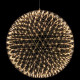 Подвесная люстра O-LUCE Raimond 10942-2