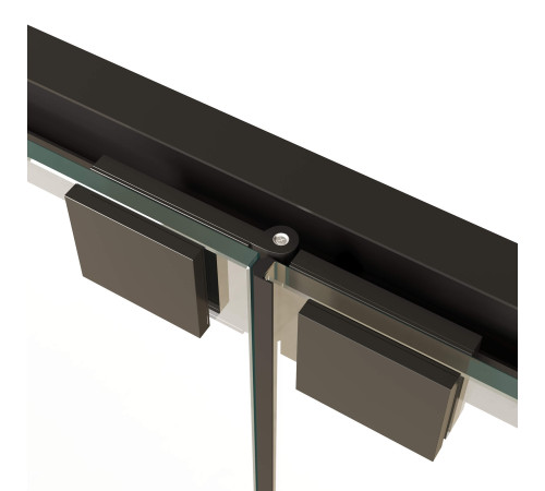 Душевая дверь в нишу RGW Passage PA-21B 900х1950 мм черный 06082109-14