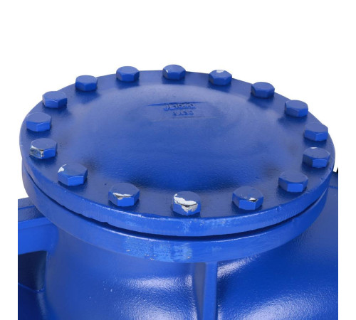 Клапан обратный подъемный Zetkama 287A DN 200 PN 16 фланцевый чугунный 287A200C31