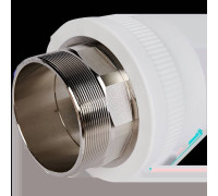 Муфта комбинированная Pro Aqua PP-R 110x4 под ключ НР белая PA23530P