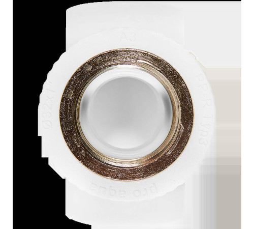 Тройник комбинированный Pro Aqua PP-R 32x1 ВР белый PA24018P