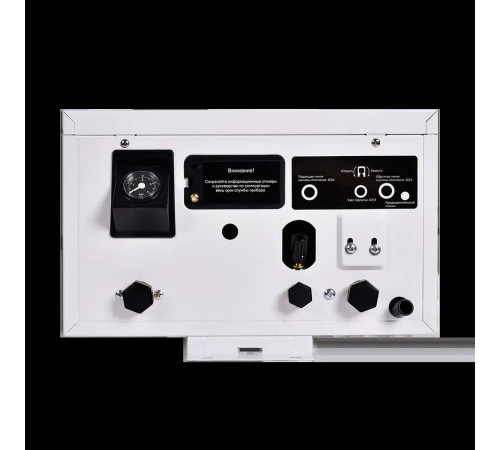 Электрический котел Thermex Boss 12 кВт Wi-Fi белый ЭдЭБ05052