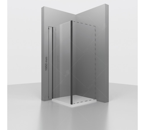 Боковая панель RGW Z-050-2B 800x1950 мм черный 352205208-24