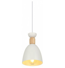 Подвесной светильник Rivoli  5109-201