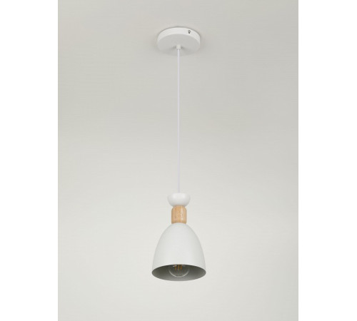 Подвесной светильник Rivoli 5109-201