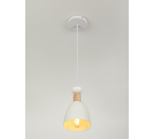 Подвесной светильник Rivoli 5109-201